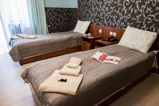 Отель Zelenyy Bir Сходница Стандартный двухместный номер с 2 отдельными кроватями-1